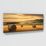 Farmhouse Golden Hayfield 169