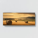 Farmhouse Golden Hayfield 169
