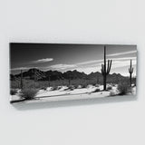 Arizona Shadowed Saguaro 66