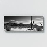 Arizona Shadowed Saguaro 66