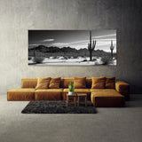 Arizona Shadowed Saguaro 66