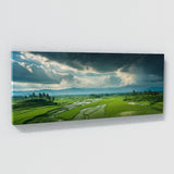 Vietnamese Verdant Storm Fields 70