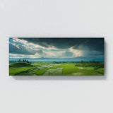 Vietnamese Verdant Storm Fields 70