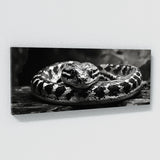 Snake Abstract Serpent 46