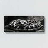 Snake Abstract Serpent 46