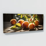 Peach Sunlight Shadows 70
