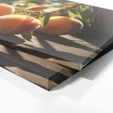 Peach Sunlight Shadows 70