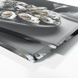 Oyster Elegance 182