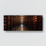 Library Labyrinthine Shadows 72