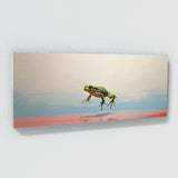 Frog Bold Bound 88