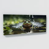 Frog Breaking Surface 71