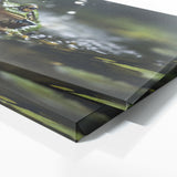Frog Breaking Surface 71