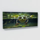 Frog Breaking Surface 72