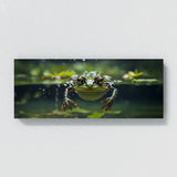 Frog Breaking Surface 72
