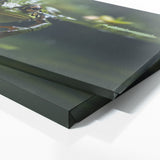 Frog Breaking Surface 72