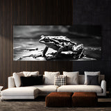 Frog Shadowed Amphibian 100