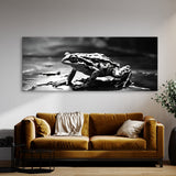 Frog Shadowed Amphibian 100