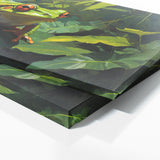 Frog Vivid Jungle Hues 47
