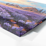 European Provence Bliss 20