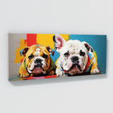 Bulldog Bold Pop 43
