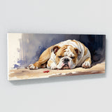 Bulldog Restful Moments 14