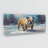 Bulldog Snowy Canine Stroll 35