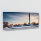 American Icy Washington Monument 71