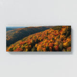 Season Canopy Vista 118