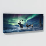 Reindeer Arctic Aurora Dance 69