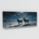 Reindeer Arctic Nightscape 58