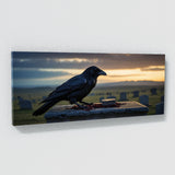 Raven Dusk Descent 81