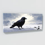 Raven Snowy Vigil 15