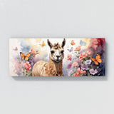 Llama Curious Flutter 31