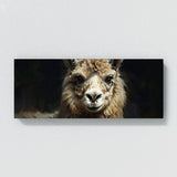 Llama Expressive Portrait 3