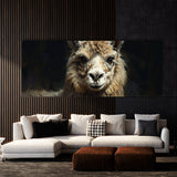 Llama Expressive Portrait 3
