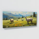 Llama In Meadow 45