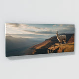 Llama Majestic Vista 81