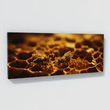 Honeycomb Harmony 75