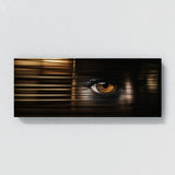 Eye Hidden Gaze 72