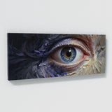 Eye Vivid Ocular Detail 2