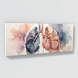 Anatomy Breath Of Life 17