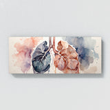 Anatomy Breath Of Life 17