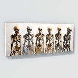 Anatomy Ethereal Bone Dance 32