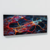 Anatomy Neural Symphony 57