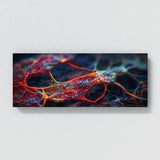 Anatomy Neural Symphony 57