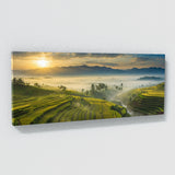 Thai Misty Dawn Fields 69