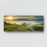 Thai Misty Dawn Fields 69