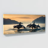 Orca Evening Elegance 185
