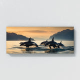 Orca Evening Elegance 185