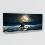 Orca Moonlit 173